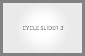 cycle3